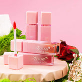 Shaded Lip Plumper – By KisŻology